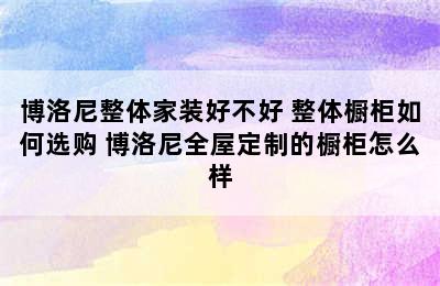 博洛尼整体家装好不好 整体橱柜如何选购 博洛尼全屋定制的橱柜怎么样